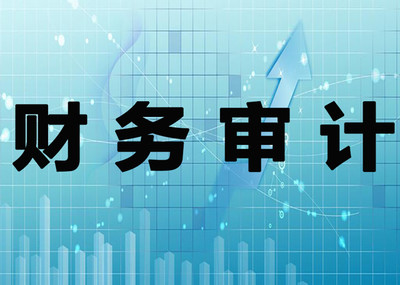 安诺房地产 专业财务审计与咨询，护航企业稳健发展