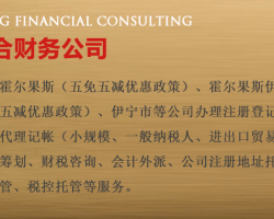 霍尔果斯商服顾问的财务咨询 助力企业跨境发展